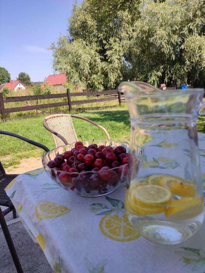 Chata Na Karpackiej Kostrzyca Екстериор снимка